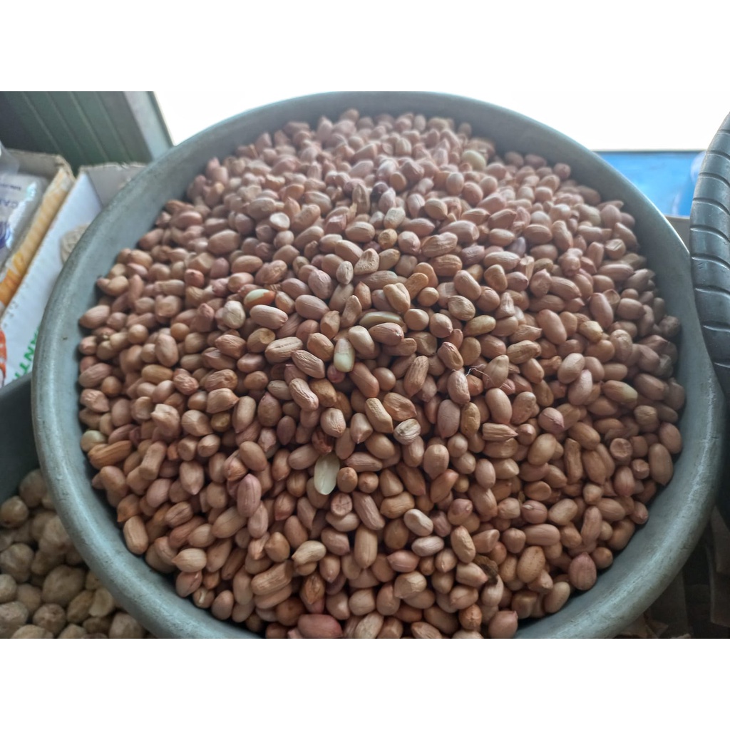 

Kacang Tanah