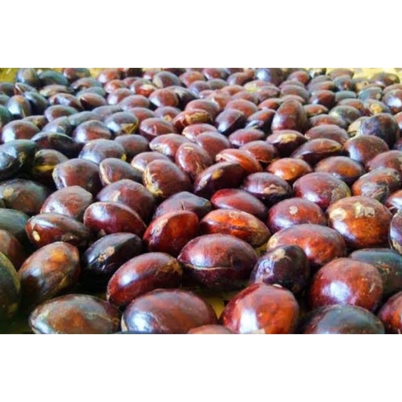 

JENGKOL SUPER 1 KiLo