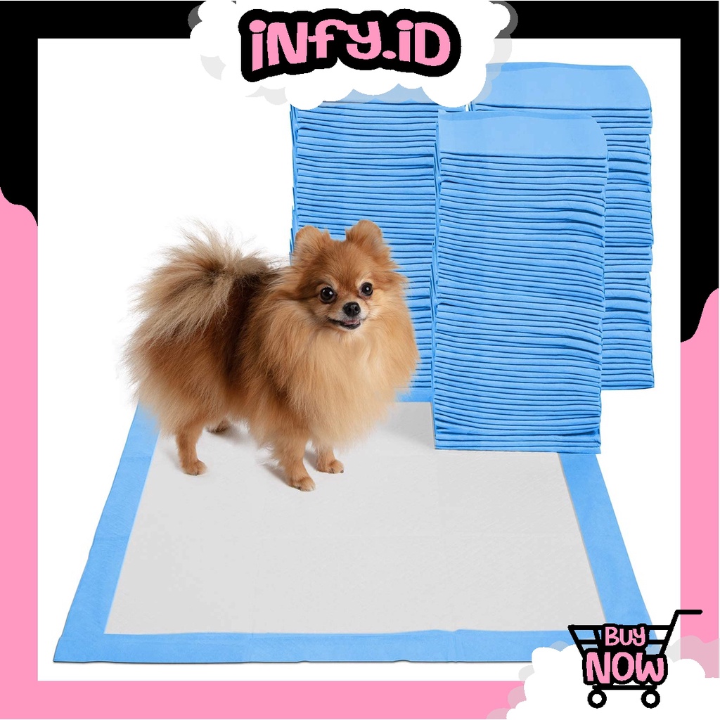 INFY - R589 Underpad kucing anjing eceran / Under pad / Training pad / Alas pipis