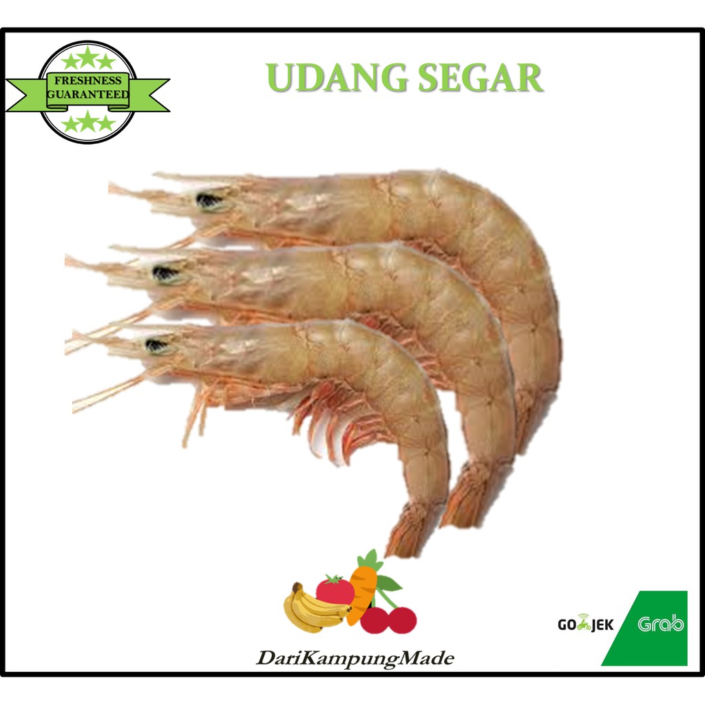 

GRAB / GOJEK ONLY / UDANG FRESH / DIJUAL PER500GR