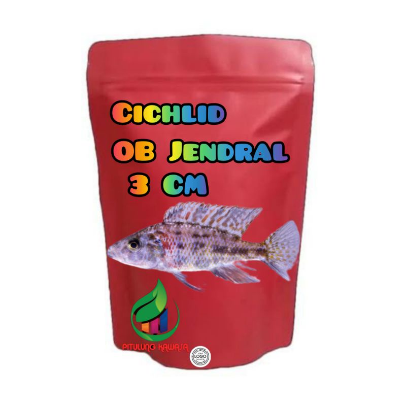 Cichlid Ob x jendral