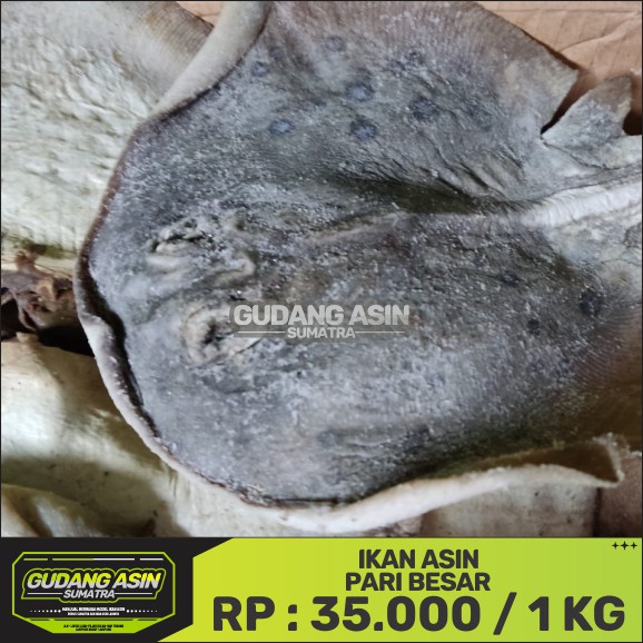 

IKAN ASIN PARI BESAR/1KG