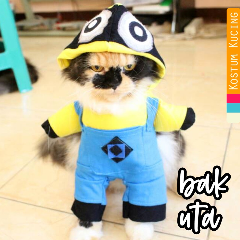 Kostum minion lucu banget untuk kucing anjing / baju kucing / kostum kucing size S M L XL