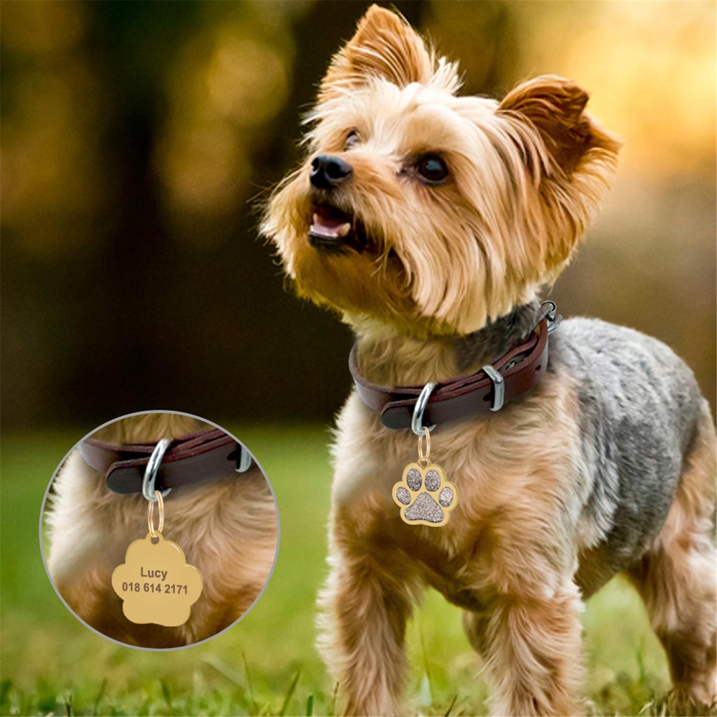 Solighter Pet ID Tag Jejak Kaki Baru Anti Hilang Dogs Name Tag