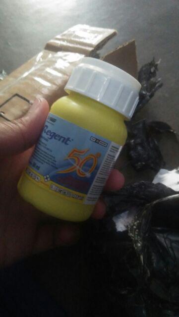 Regent Isi 50 Ml Anti Serangga