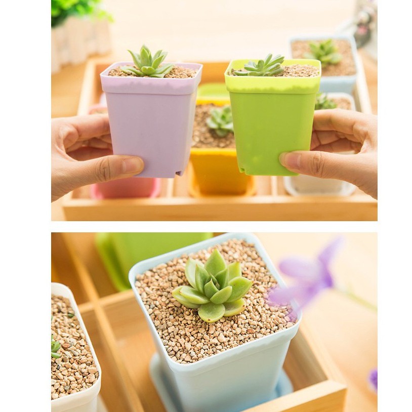 WJ0018 Pot Mini Kotak 7CM Rainbow Pastel Series Persegi Mini Pot Kaktus / Pot Sukulen