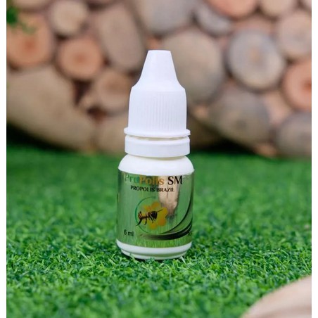 Obat Herbal Asam Urat Kesemutan Rematik Sendi dan Tulang Kebas Tangan Apotik Propolis SM Bpom Original