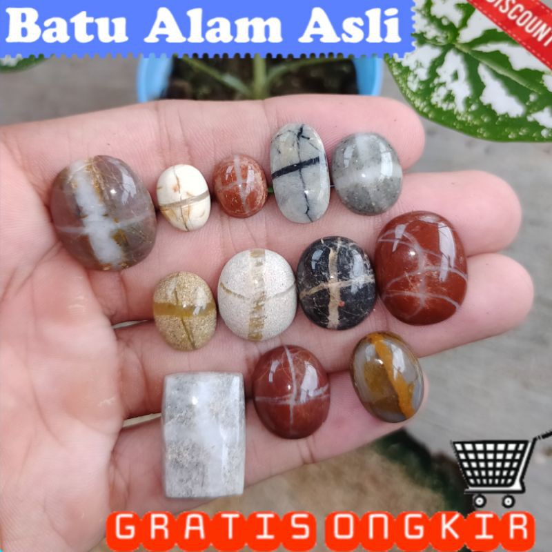 batu akik asli tapak jalak kalimantan bkn akik wulung katilayu kalimaya safir ruby yakut cincin