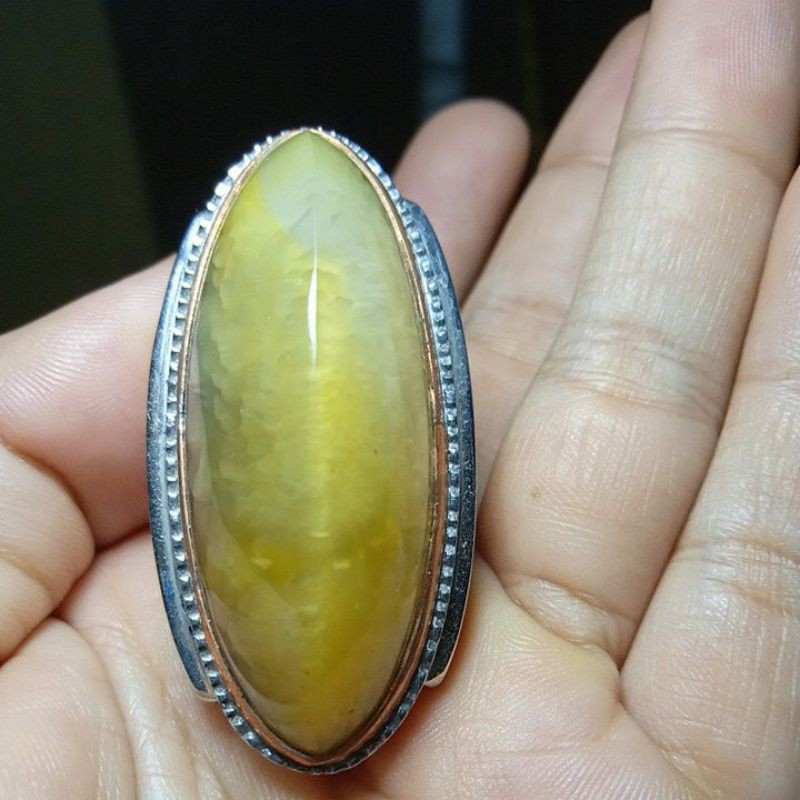 pandan lumut babon kristal