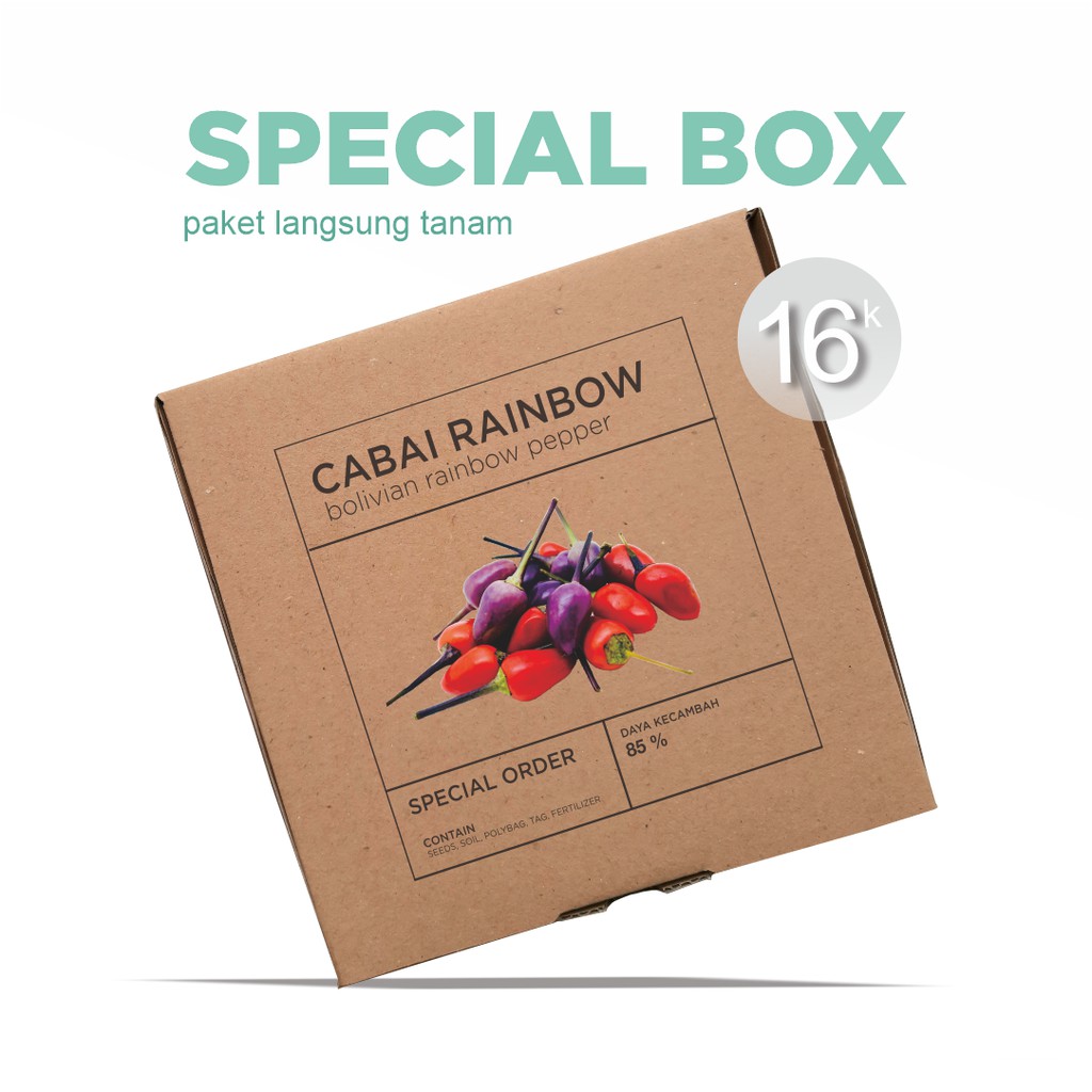 Paket Langsung Tanam - Gardening Kit - SPECIAL BOX - Benih Cabai Pelangi Bolivian Rainbow Seeds