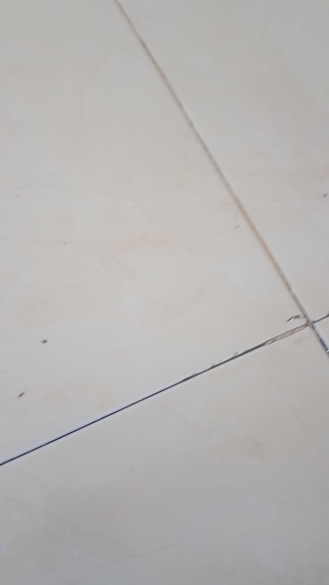 Wajan Kwalik Dadar Gulung - Kulit Risol Lumpia - Crepe Maker Galaxy