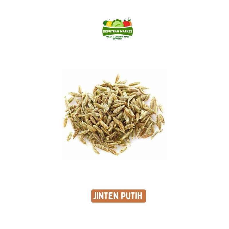 

Jinten Putih 100 Gram / Bumbu Rempah