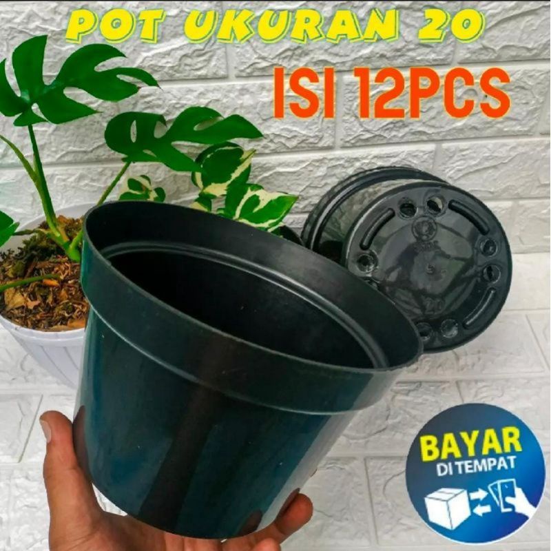 Grosir Pot Hitam 20 isi 12 pcs Termurah Harga Grosir Pot Bibit Hitam 20