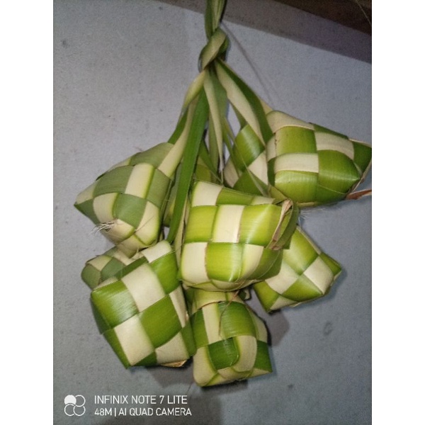 cangkang bungkus ketupat janur kuning hijau