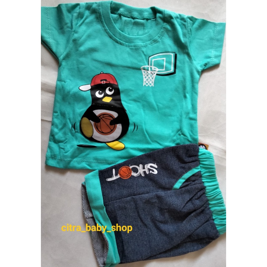 Setelan Kaos Anak Cowok Usia 12 Bulan Impor Motif Pinguin