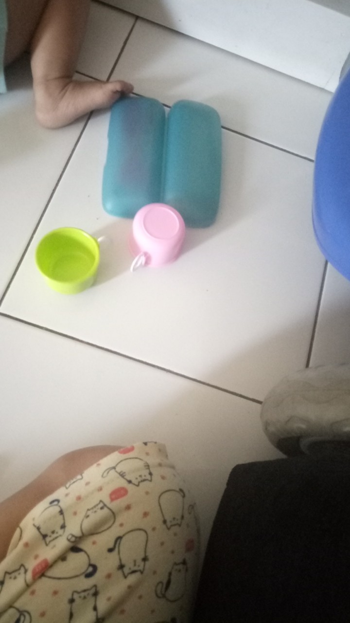 Rc Sprei Lady Rose King Ukuran 180x200 Harga Terjangkau