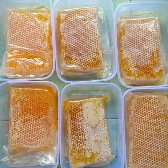 

Sarang madu hutan premium 500 gr