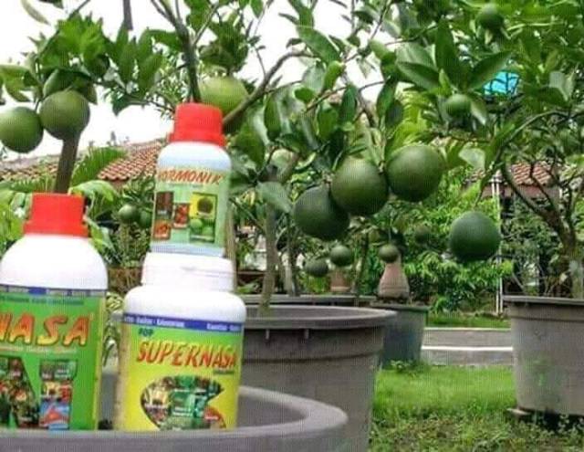 Paket Agro Pertanian Perkebunan Shopee Indonesia