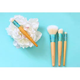 MAKE UP BRUSH ECOTOOLS KUAS MAKE UP ECO TOOLS (SATUAN)