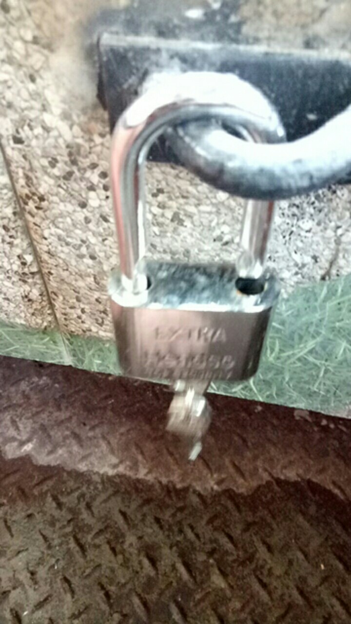 Gembok Pintu / Pagar Dan Xiang 40mm - 50mm Panjang Pendek