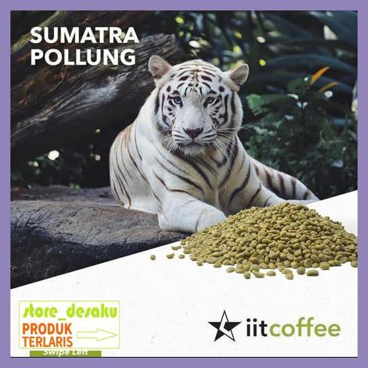 

57Ryr68- Arabica Green Beans - Sumatera Pollung Estate Semi Washed 1Kg 4E57Edu-