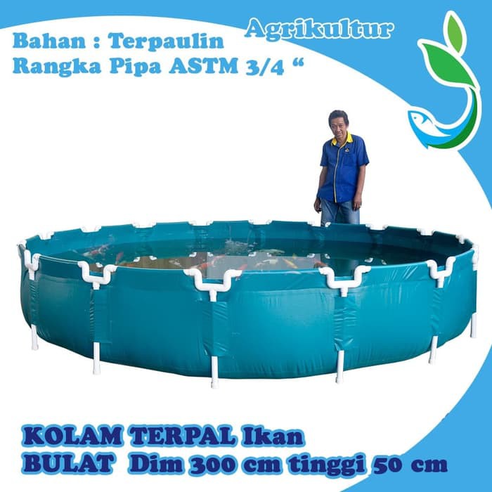 Jirifarm Kolam Terpal Knock Down Dim 300cm Tinggi 50cm pengganti kolam fiber