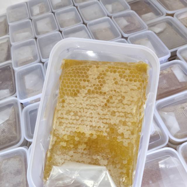 

Grosir Madu Sarang 500gr 50 Box