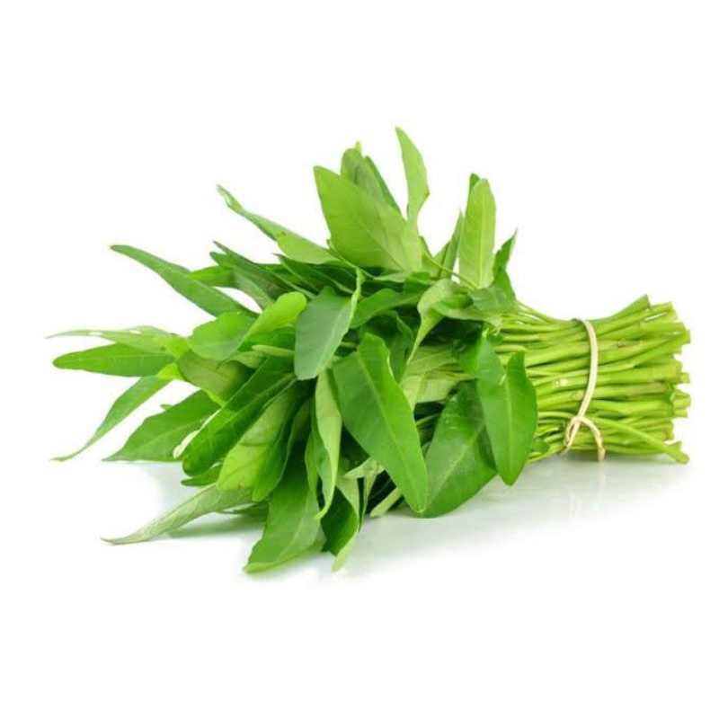 

kangkung seiket