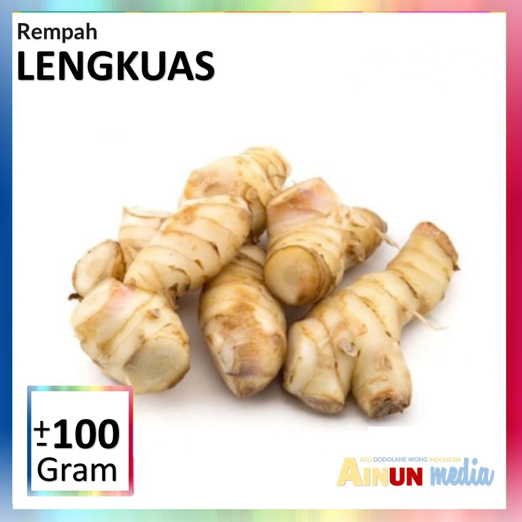 

LENGKUAS Rempah Segar pengunungan Jawa Barat