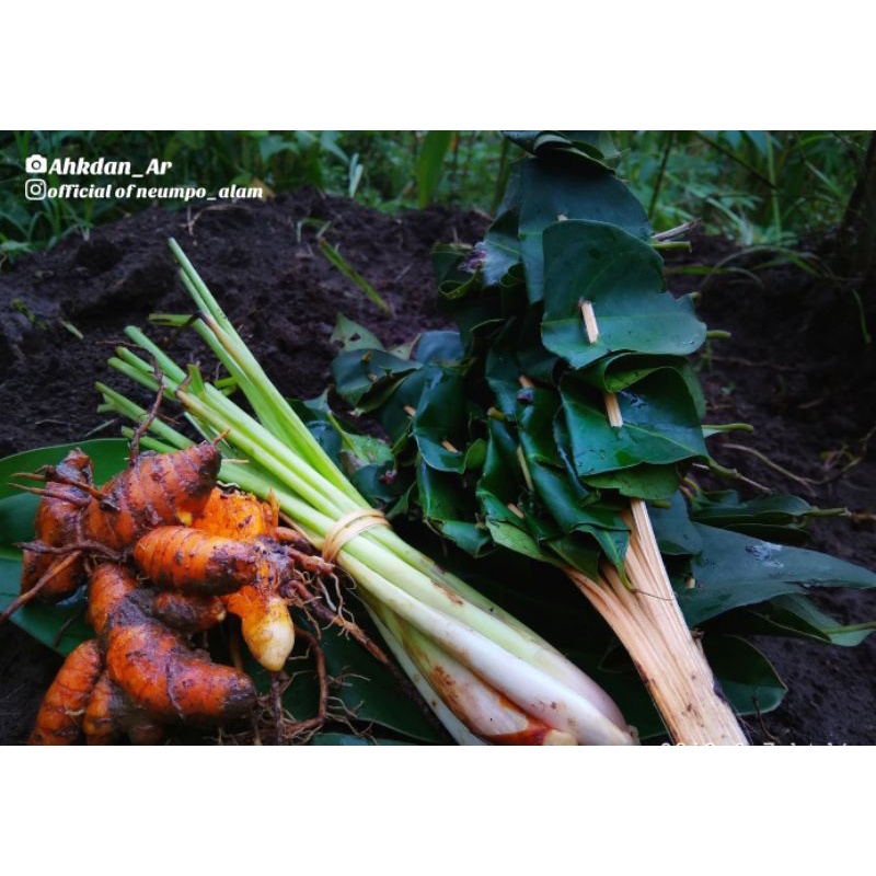 

Paket lengkat Kunyit,sereh,Daun salam