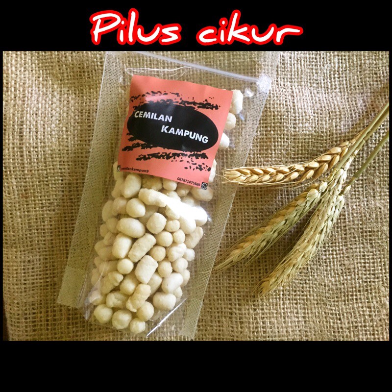 

Pilus cikur