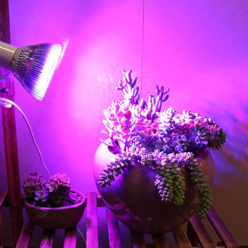 LED Plant Grow Lights / Plant Lighting Full Spectrum Fill Light