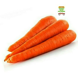 Harga wortel per kg