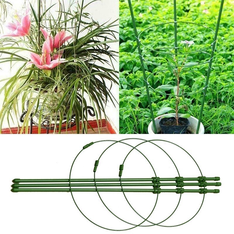 Plant strip 60 cm penyangga tanaman