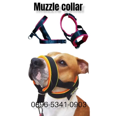 brangus anjing model collar/muzzle collar/dog muzzle collar