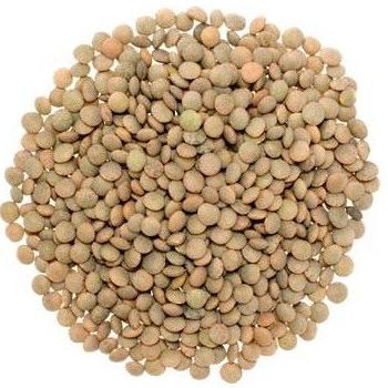 

Natural Brown Lentils 500 Gr