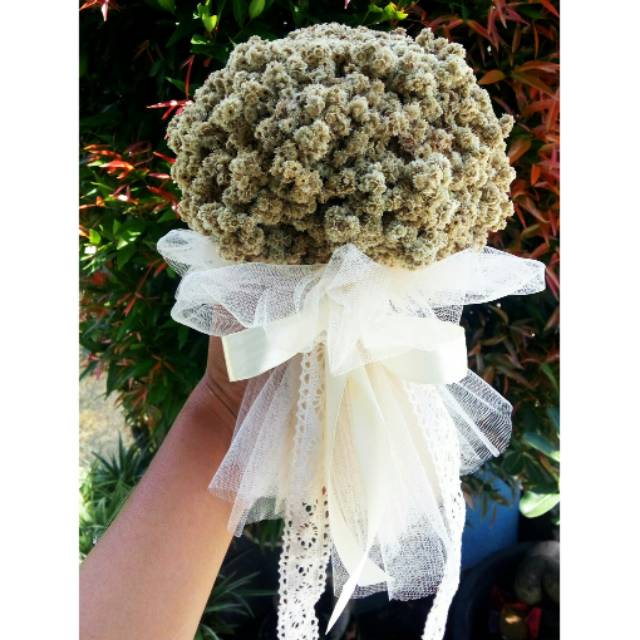 Bouquet bunga  edelweis  wedding Shopee  Indonesia