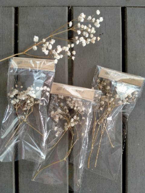 2 batang kecil Babysbreath  10 -12 cm -  dried flower babybreath gypsophilla