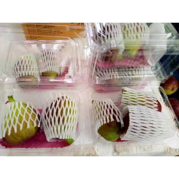 

NR432 Buah tin Ara yordania fresh Organik 150gr ㊰ 39