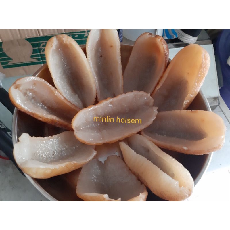 

hoisem(teripang) size10/kg