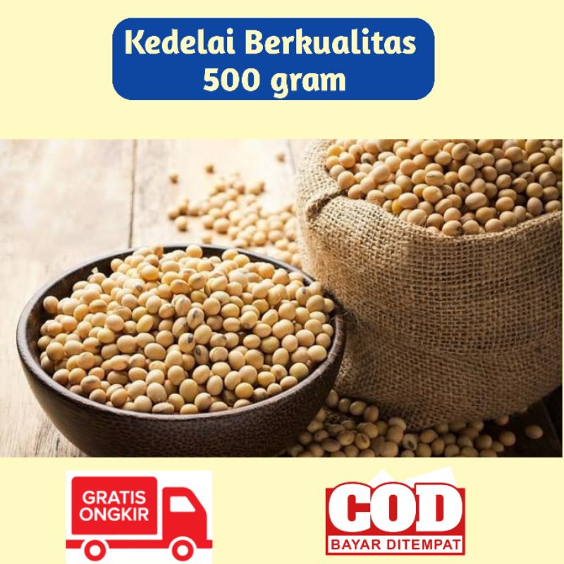 

500 gram Kedelai Mentah soya berkualitas olahan susu tahu tempe Keripik tempe aci