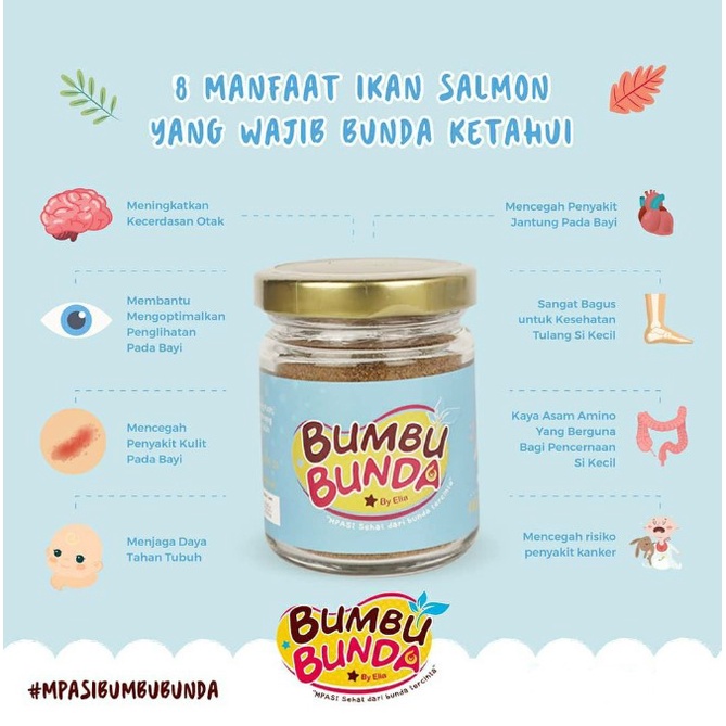 BUMBU BUNDA by Elia Kaldu MPASI Bayi Non MSG Homemade - Kaldu Salmon