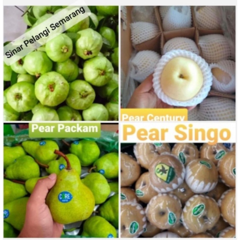 

PEAR CENTURY, PEAR PACKAM, PEAR SINGO, PEAR MERAH, BUAH NAGA,JAMBU KRISTAL, APEL FUJI 1KG