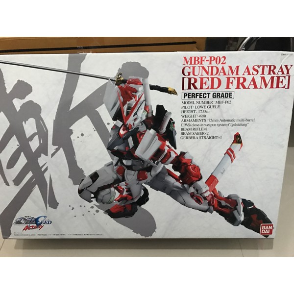 1/60 Pg gundam red astray