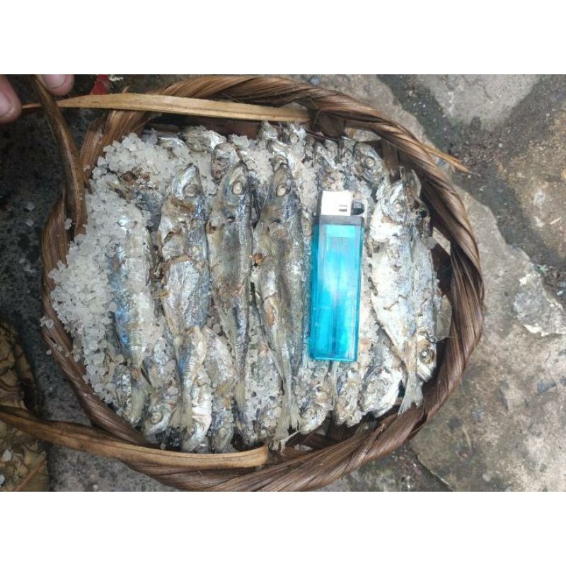 Ikan Asin Pindang Lajang / Ikan Asin Pindang Bongkol / Ikan Asin Pindang Kuantan