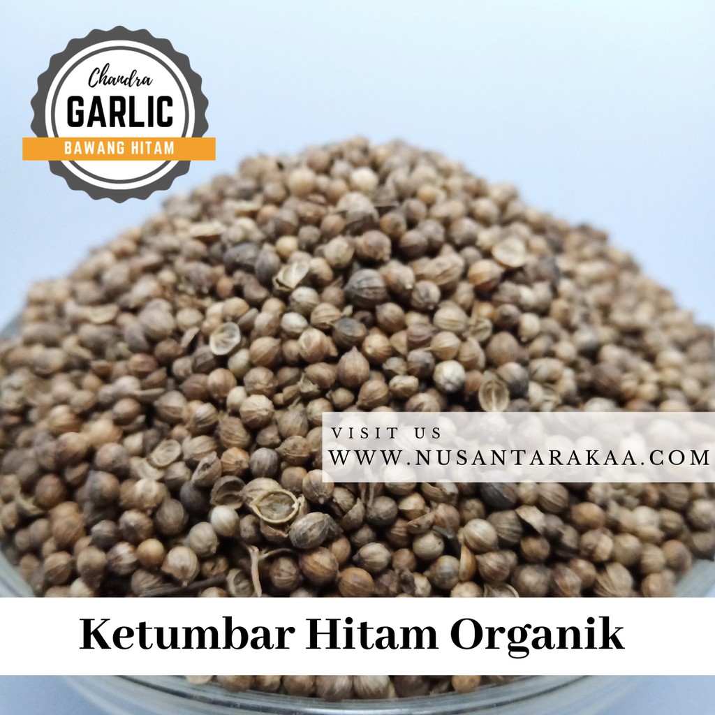 

Termurah Ketumbar hitam organik 10 rb an