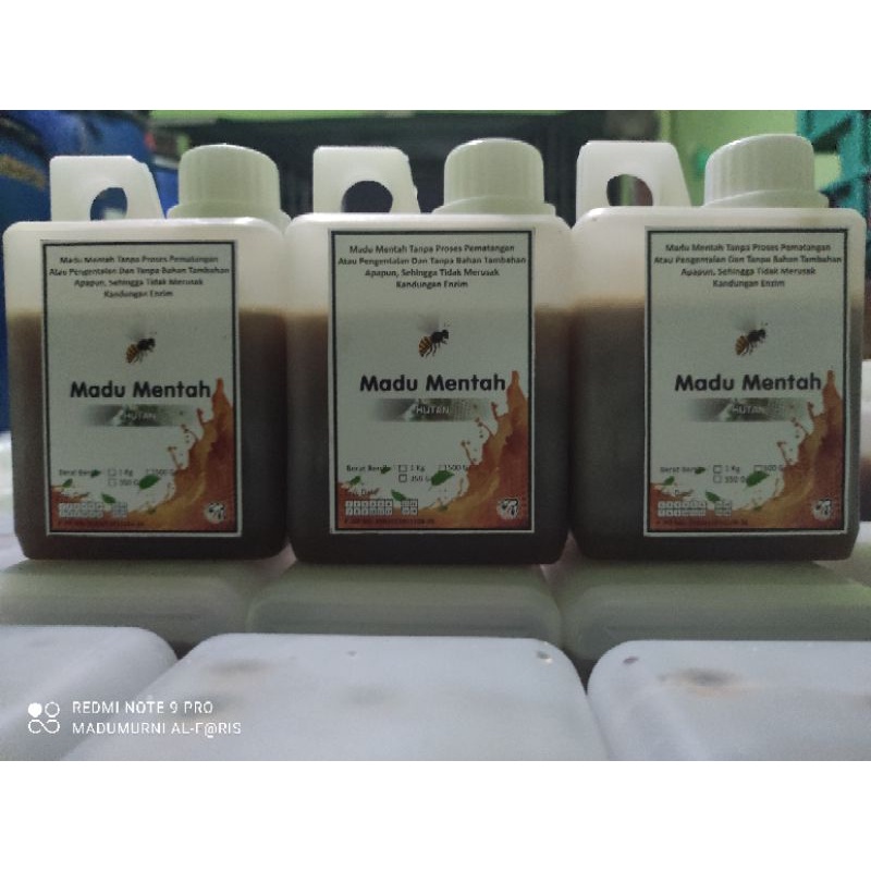 

MADU MURNI JENIS HUTAN GREAT A 1/2 KG