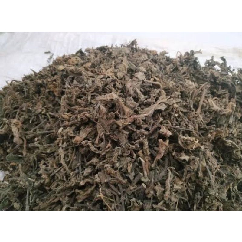 

Daun cincau hitam kering super 50kg