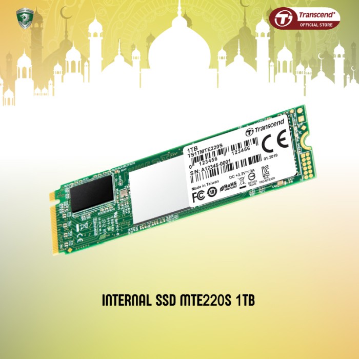 Transcend SSD M.2 PCIe MTE220S NVME