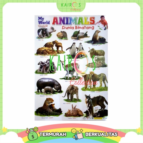 Poster Anak Edukasi Belajar Animal Binatang